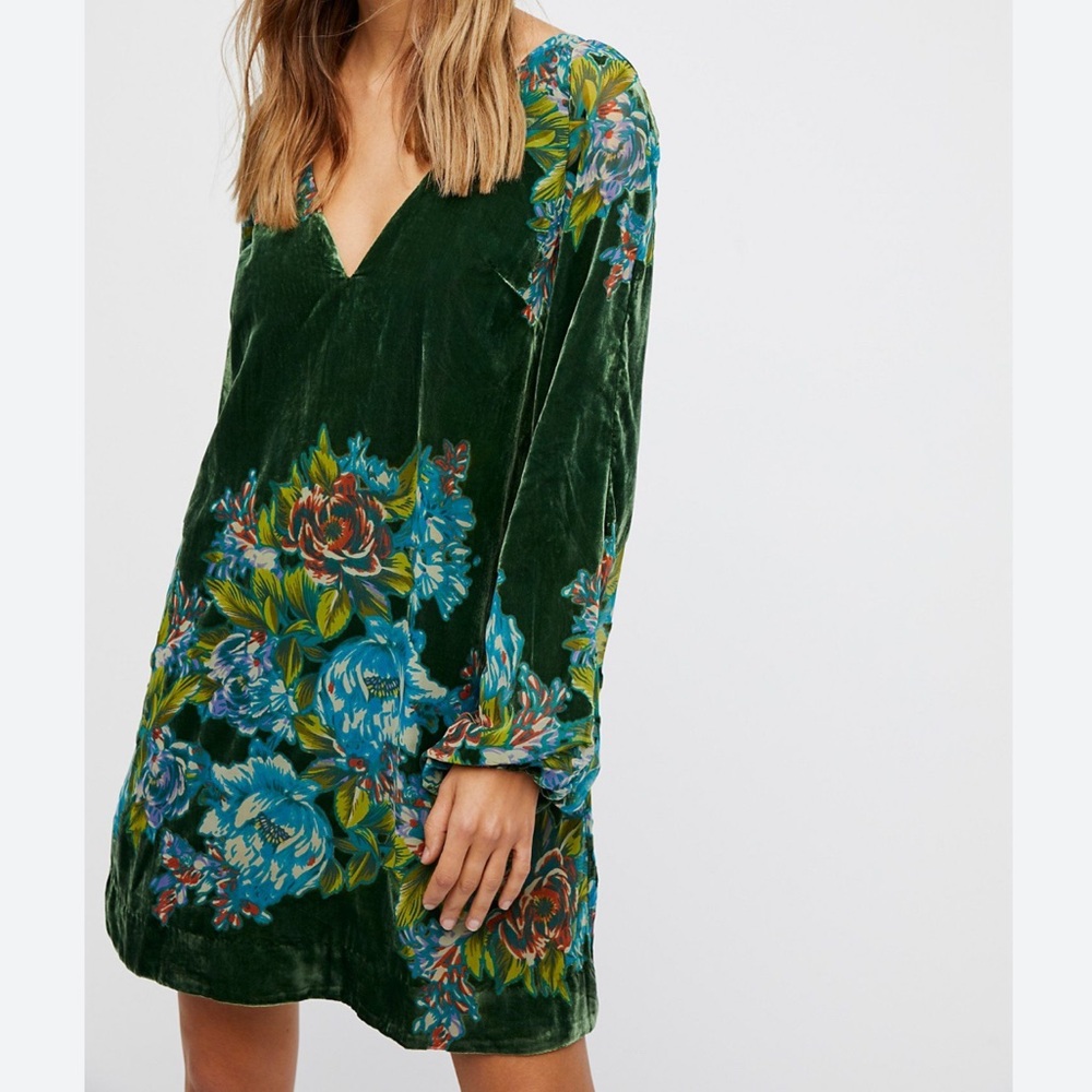 Gorgeous Misha Burnout Velvet Mini Dress!